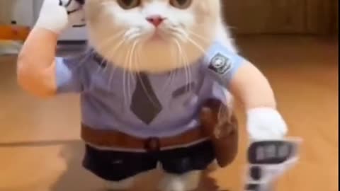 Funny Pets Moment #59