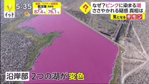 What's going on? The color of the lake is pink! What is the alleged truth that is whispered?