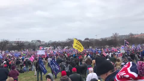 “We Love Trump”