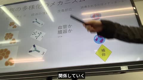 Beachamp8th「revealing ICD999～Pathophysiology of Vaccine Induced Disease ⑧Acute Serum Sickness