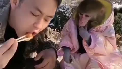 Monkey fun with man