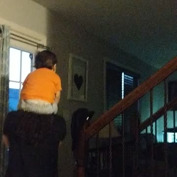 Nothing but silliness