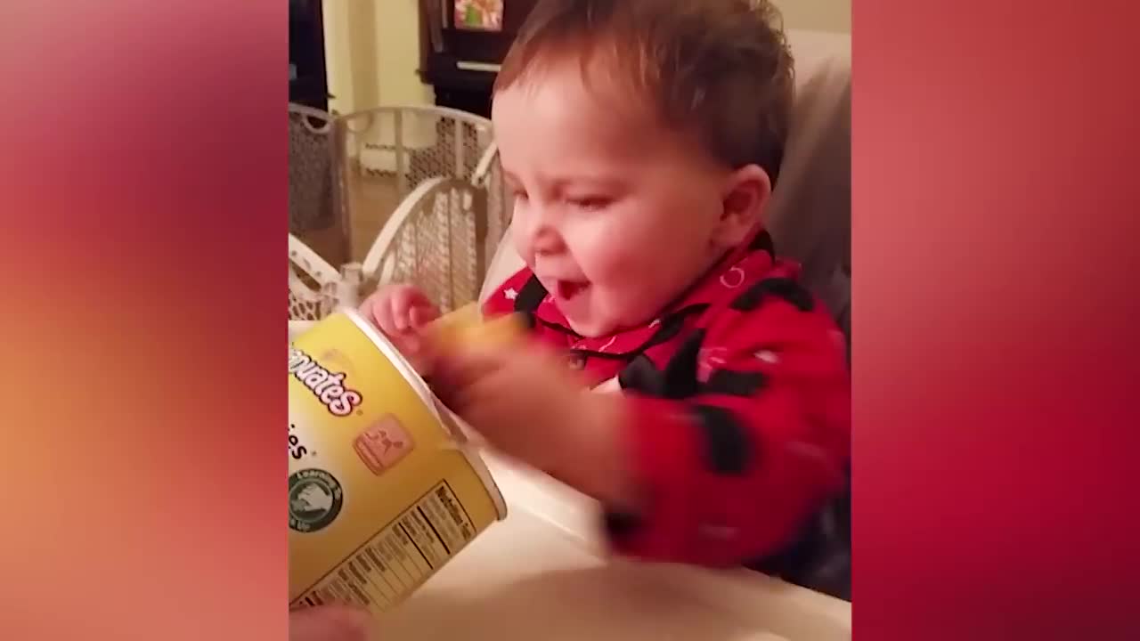 Funniest Baby's Actions Like a Boss - JustSmile
