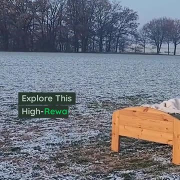 Learning from Financial Crises Navigating Tough Times