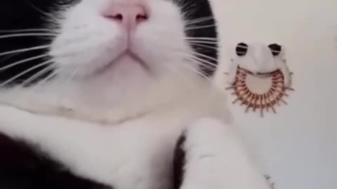 Cute animal 😍