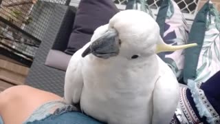 I love checking myself out