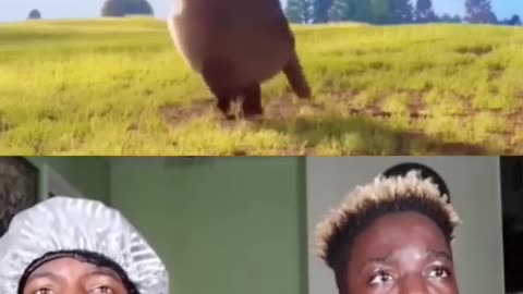 funny🤣🤣🤣.......| reaction | #funny #shorts #youtubeshorts #viral