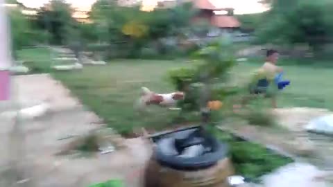 1 minute funny video