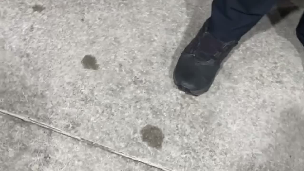 Everyone learns at different speeds