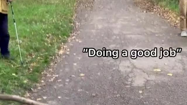 Looking to hire this man as my personal motivator 👏 #boscoandhisbigstick #dogvideos #funnyvideos