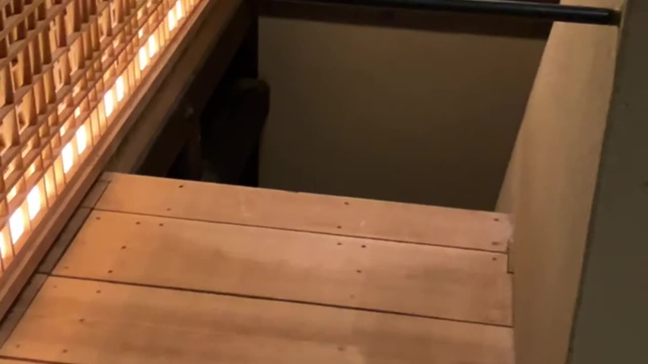 20240413 Không khuyến cáo đưa trẻ con đến đây