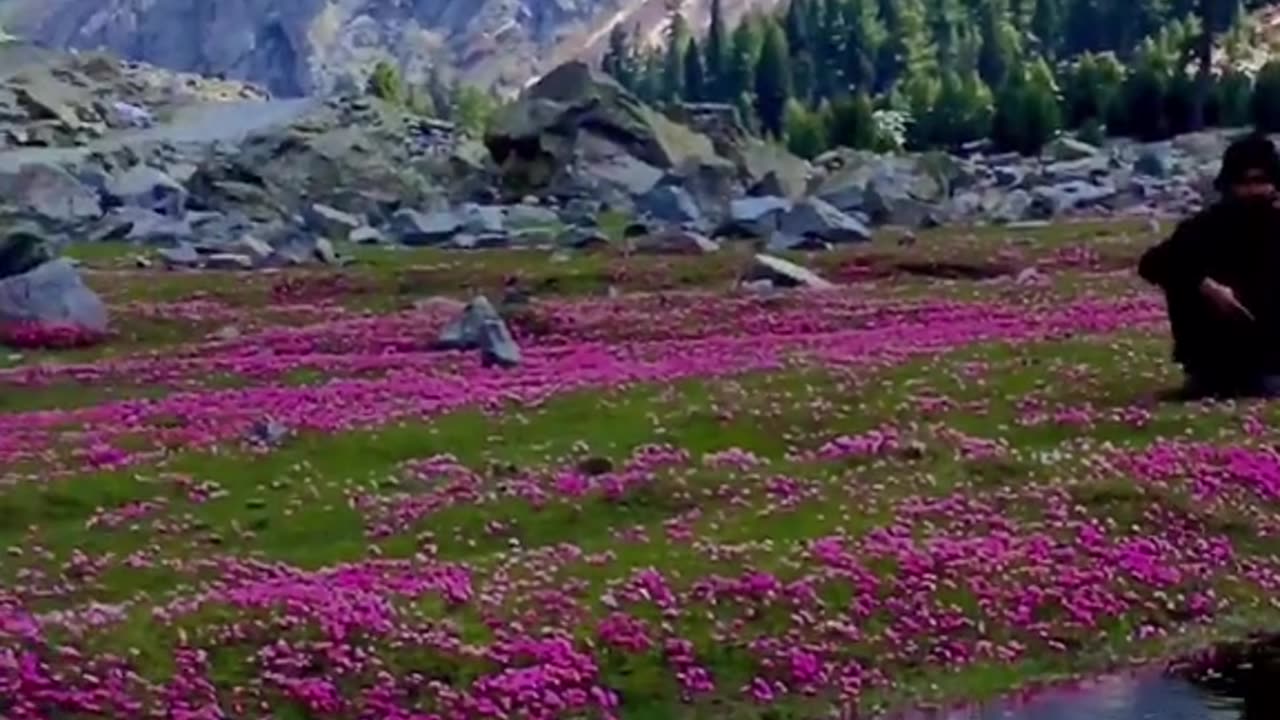 Beauty of Pakistan