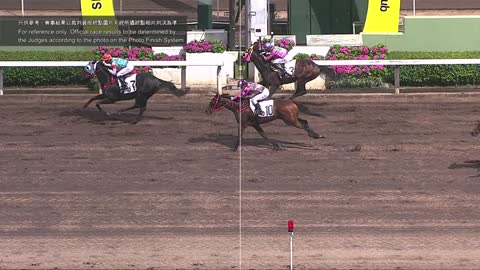 Horse_Race_2022052905_Chinese