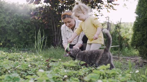 The child is playing with the dog