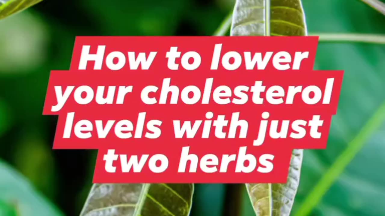 Effective Ways to Lower Cholesterol Naturally