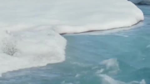 MELTING Ice Reveals SHOCKING Global Impact – Must-Watch!