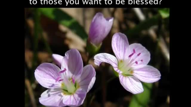 God whispers to you