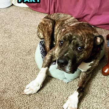 Failure is part of success