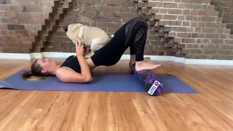 Funny dog seating there enjoying the Yoga