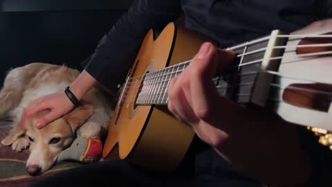 The Last Of Us Fingerstyle Guitar Main Theme