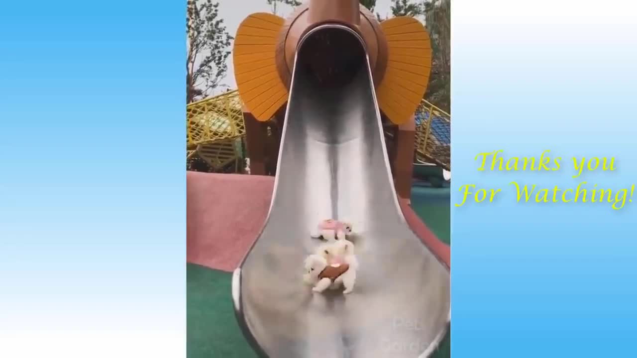 Cute Puppies Love Sliding Game