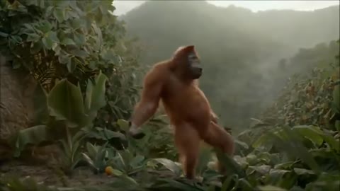 Money funny video