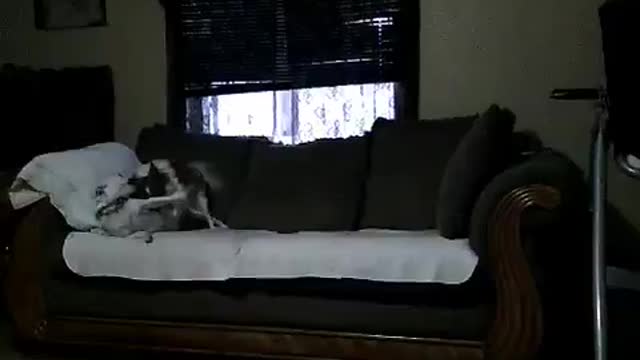 Simon gets amorous