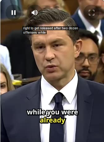 Pierre Poilievre tears Liberal MP a "New One"🍁