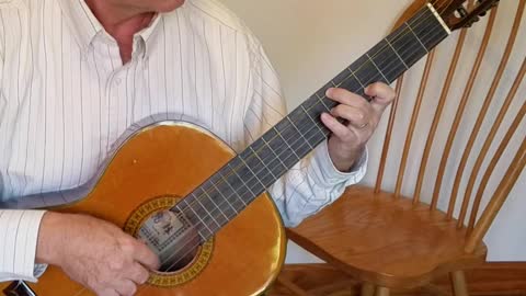 "Fuck Joe Biden" on Classical Guitar