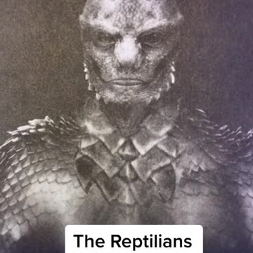 Reptilian – Draconian Characteristics