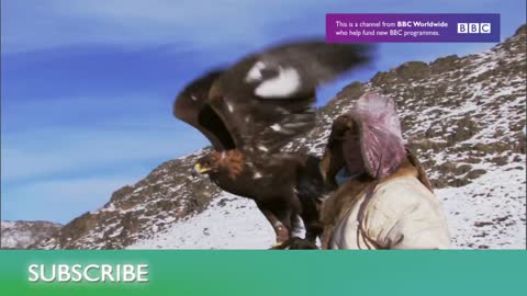 These Rats Can Detect Tuberculosis! | Extraordinary Animals | Series 2 | BBC Earth