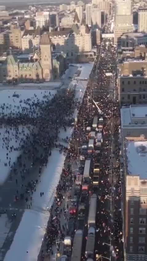 Canadian Truckers Will NOT BE DENIED! Truckers all over the world coming too..