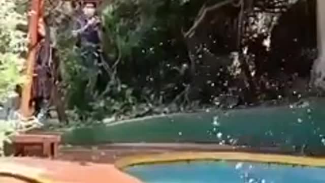 Monkeys in water