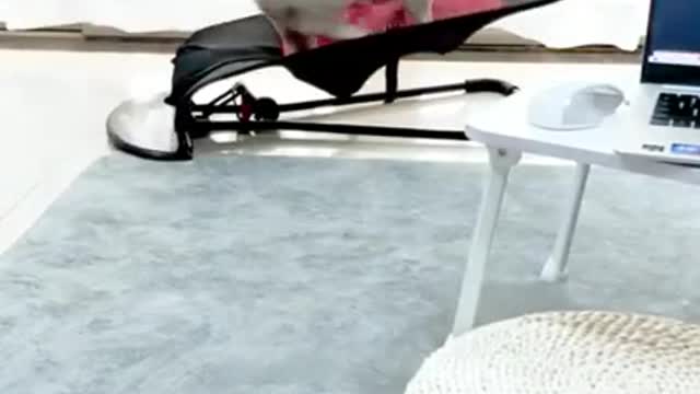 Wow Dog/Funny Dog/cute Dog