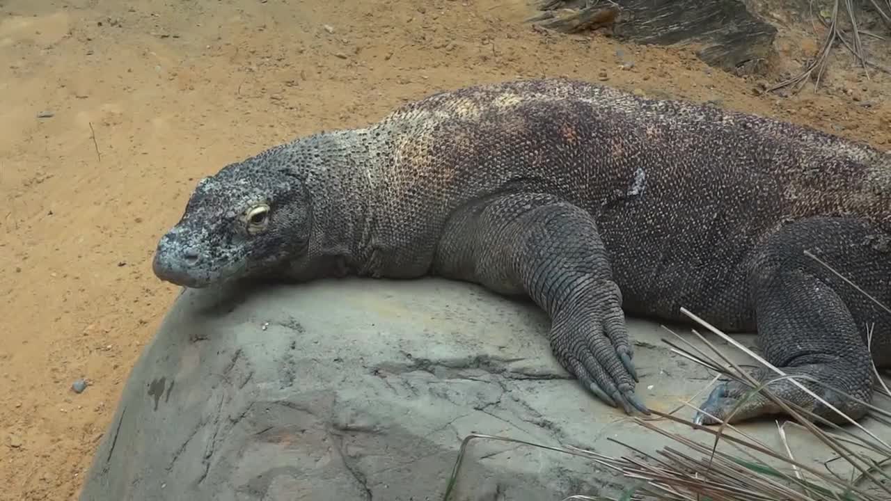 What should I pay attention to when raising this?