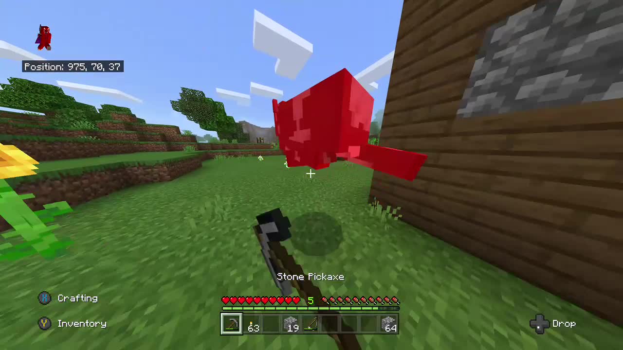 Cute dogs and cats 2020