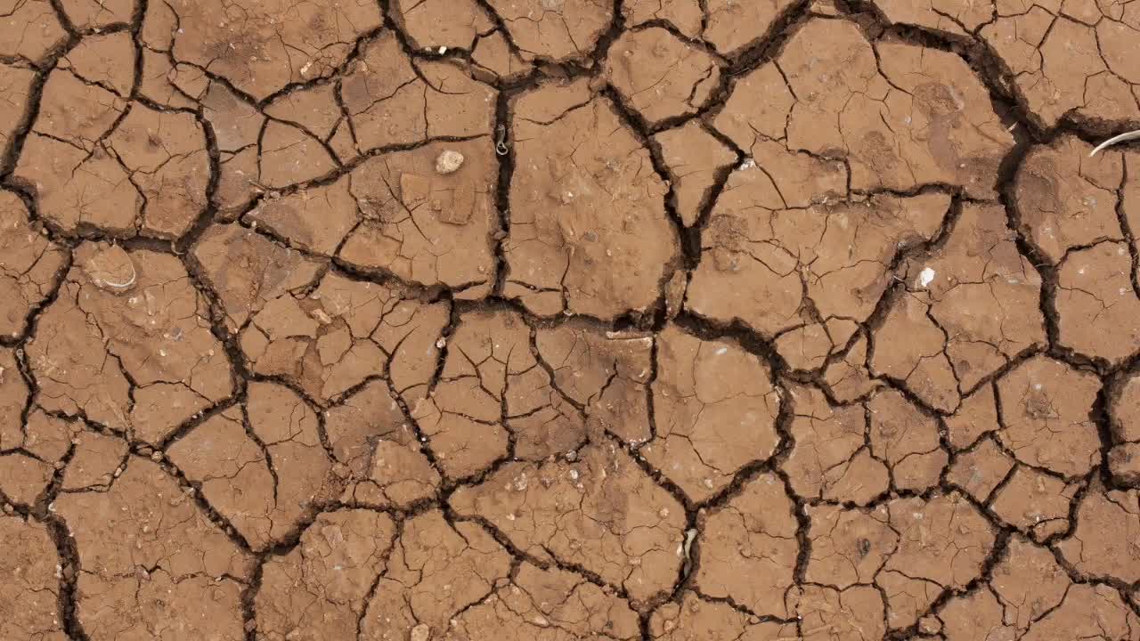 UN VIDEO ON CLIMATE CHANGE SHOWING TALKING DINOSAUR