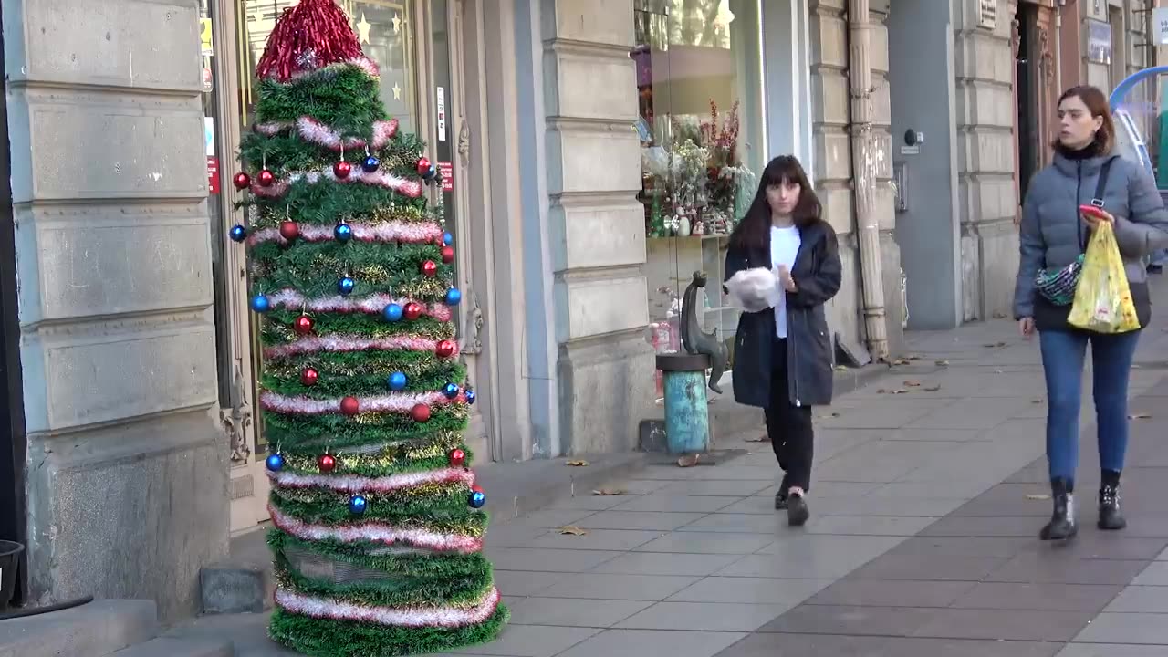 The Best Christmas tree Scare Prank - New Year's joke