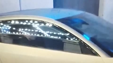 EOLON MUSK ELETRIC CAR