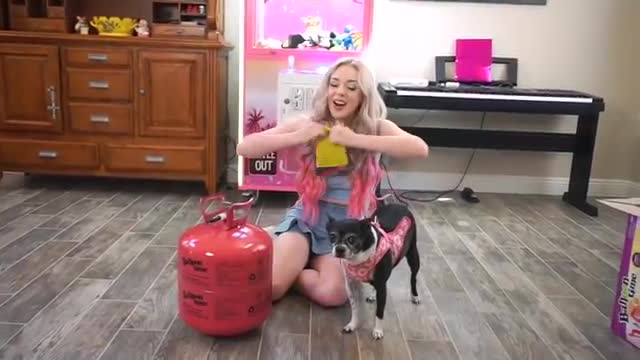 Lyssy Noel-I MADE MY DOG FLY BY TYING BALOONS AROUND HER?!