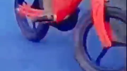 Funny Cute little Monkey cycling