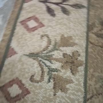 my new cat likes to sit on the ground at my room