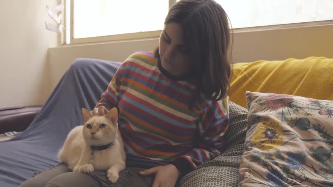 A woman sits on a couch and pets a cat