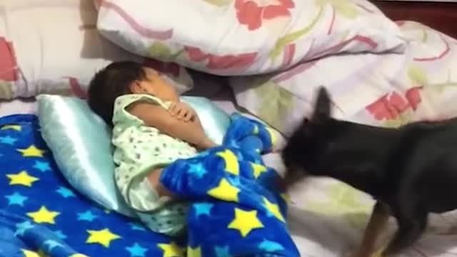 Get ready for your heart to melt!