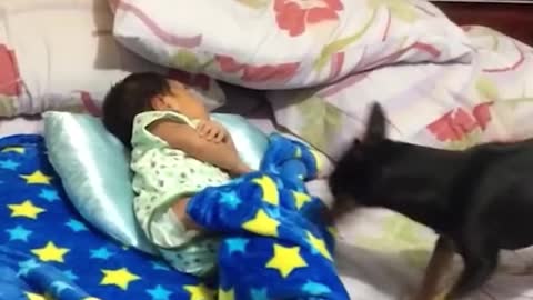 Get ready for your heart to melt!