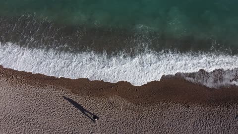 The Ocean 4K - Scenic Wildlife Film