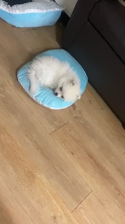 I'm not awake yet. kkk