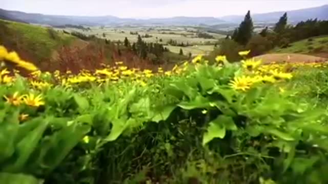 Time with God - May 10