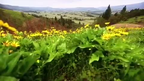 Time with God - May 10