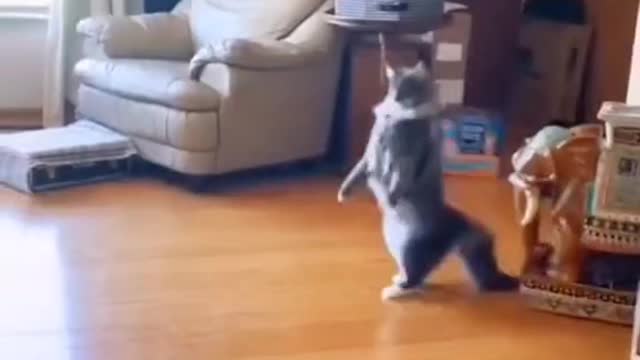 cute moment